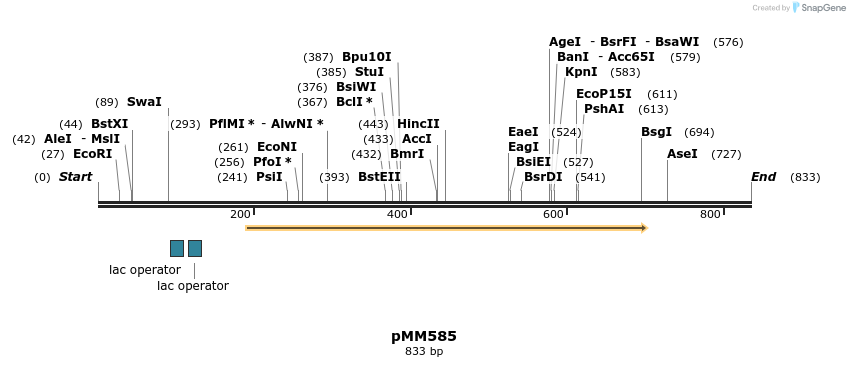 126135_map