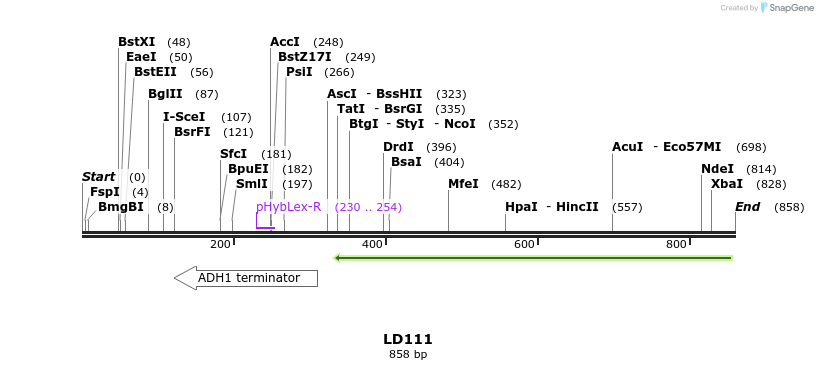 126137_map