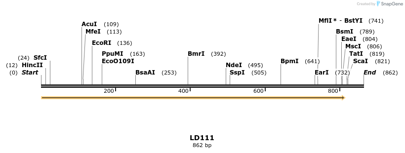 126138_map