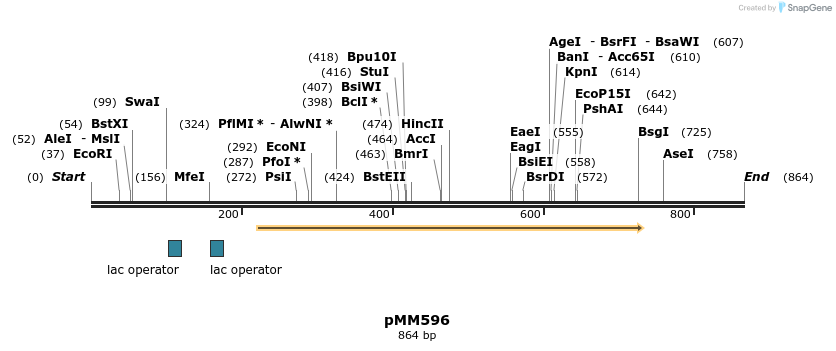 126139_map