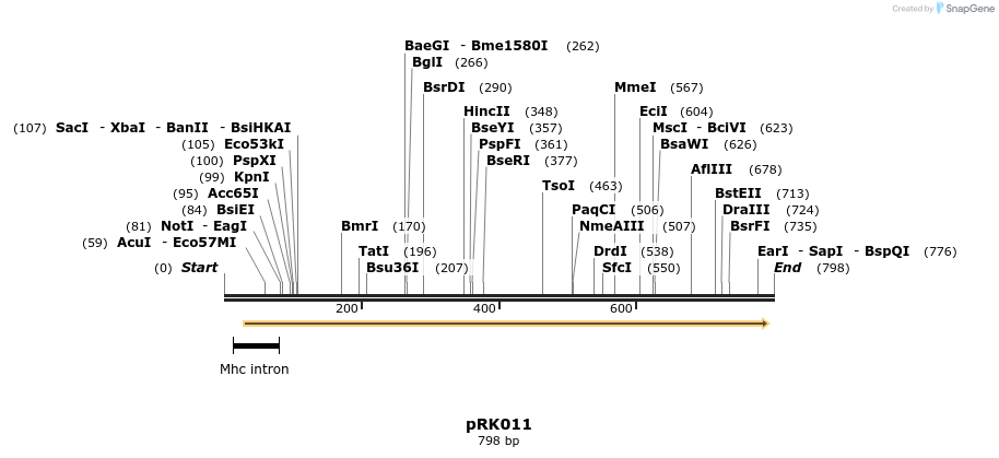 126140_map