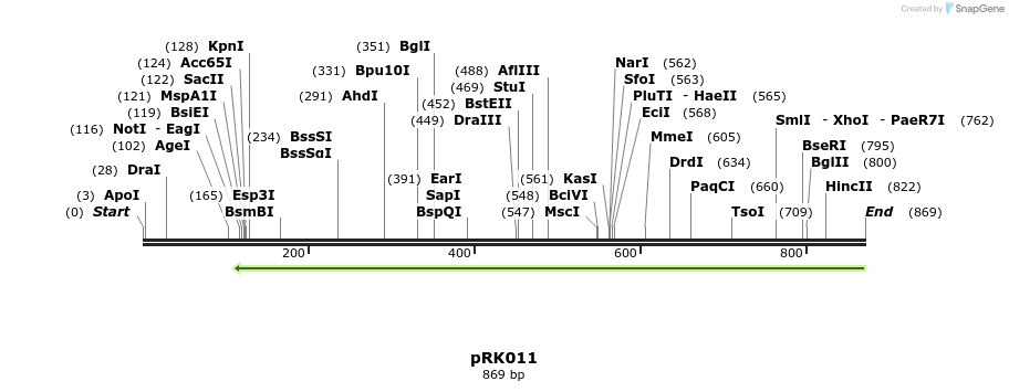 126141_map