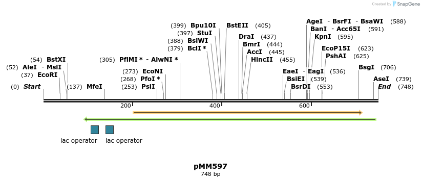 126142_map