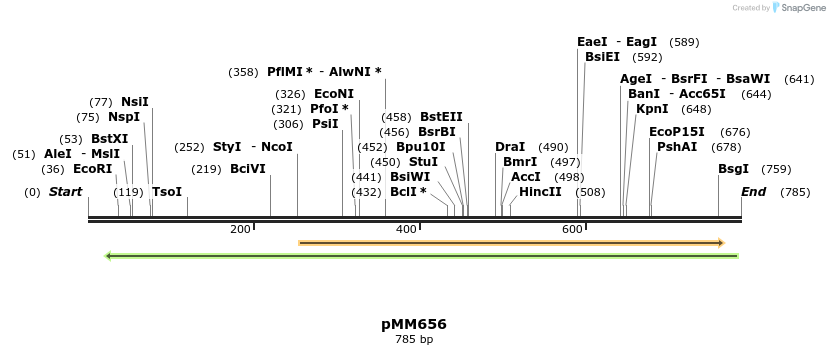 126145_map