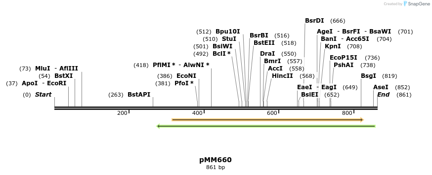 126147_map