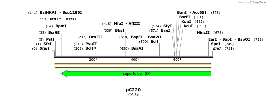 126149_map