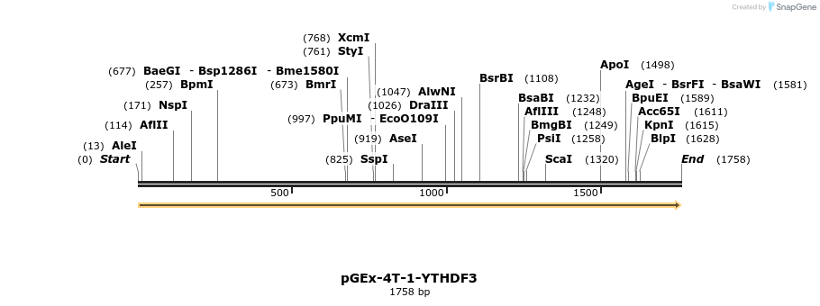 126153_map