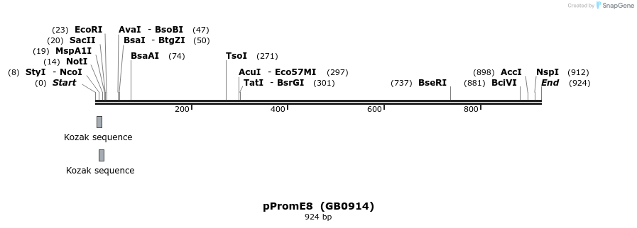 126155_map