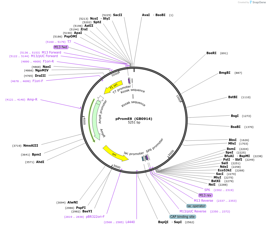 126156_map