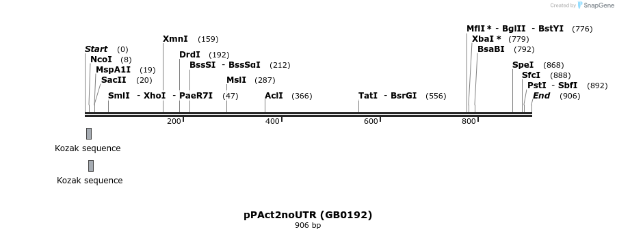 126157_map