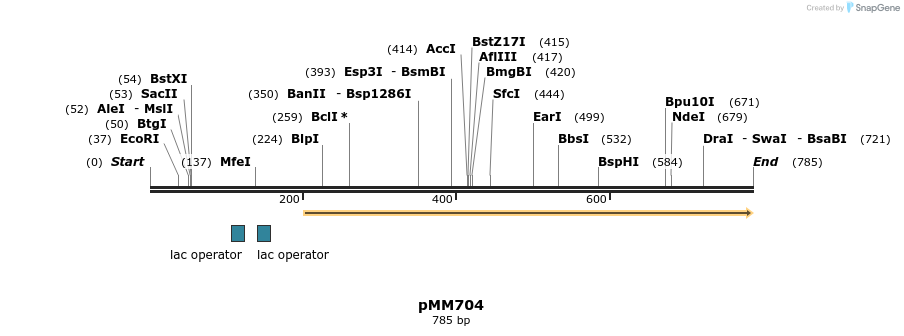 126158_map
