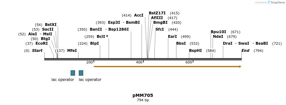 126160_map