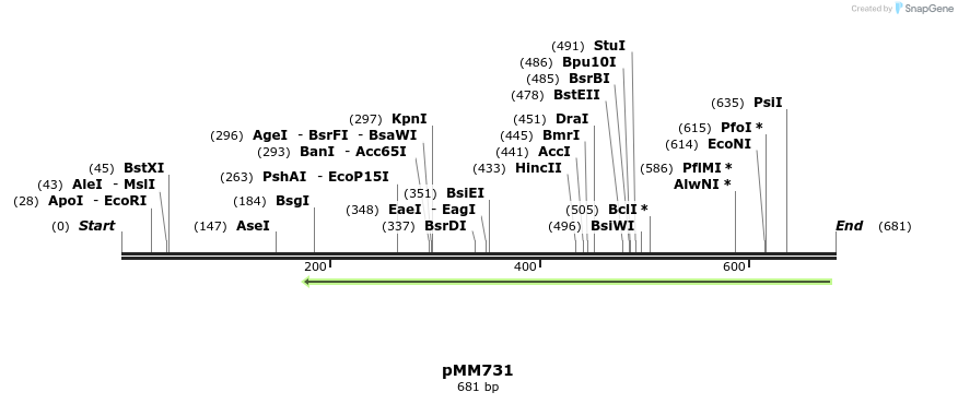 126167_map