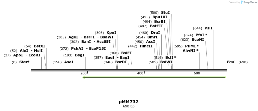 126168_map