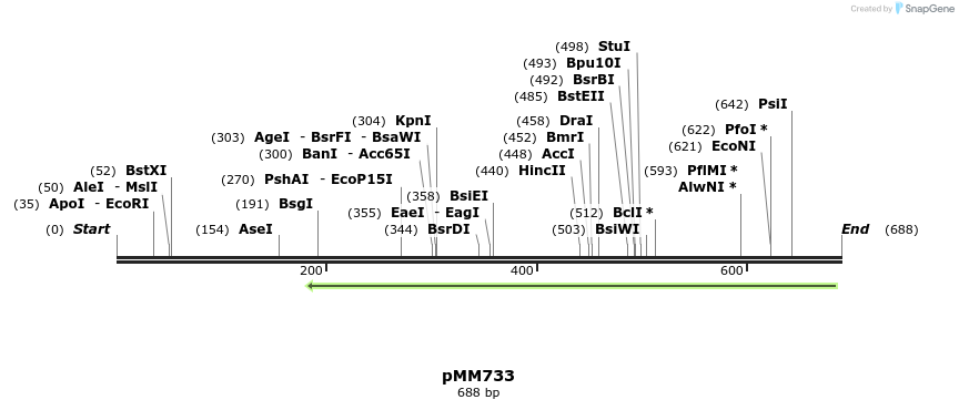 126170_map