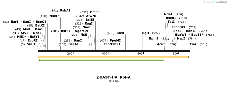 126174_map
