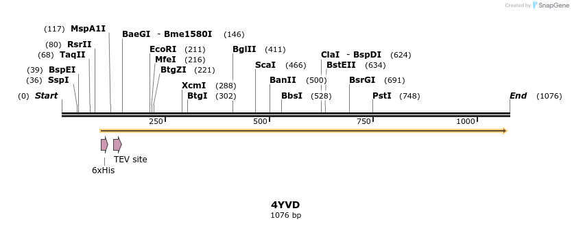 126190_map