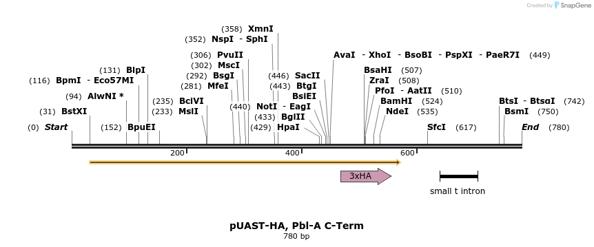 126192_map