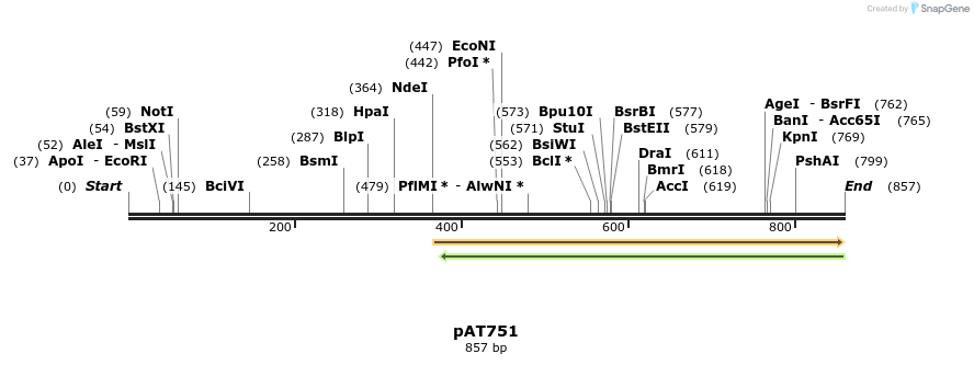 126193_map