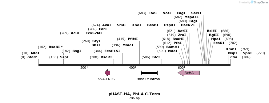 126195_map