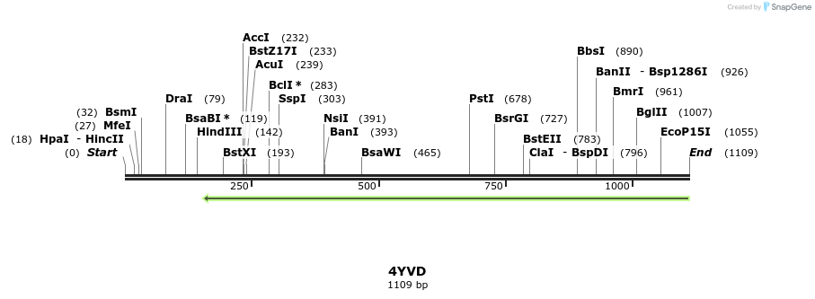 126196_map