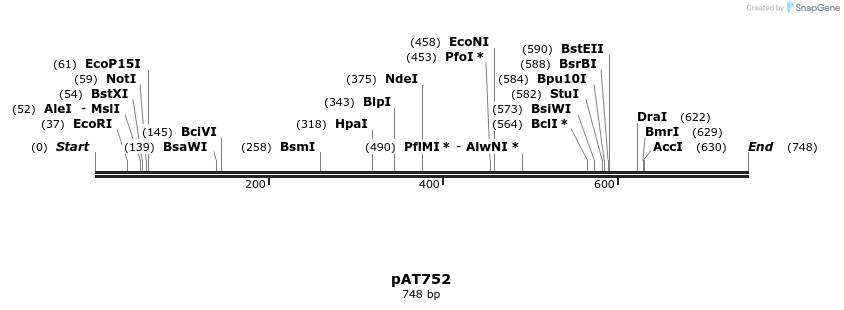 126197_map