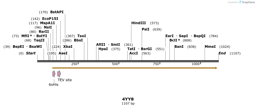 126201_map