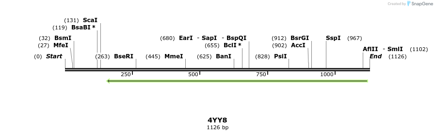 126202_map