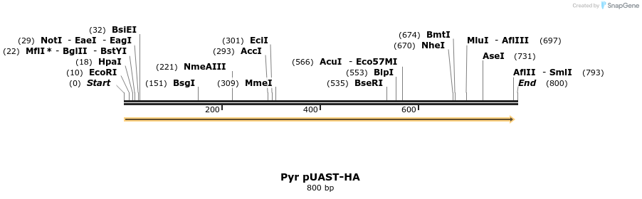 126203_map