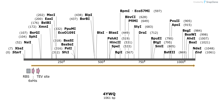 126205_map