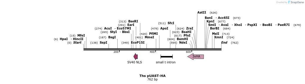 126210_map