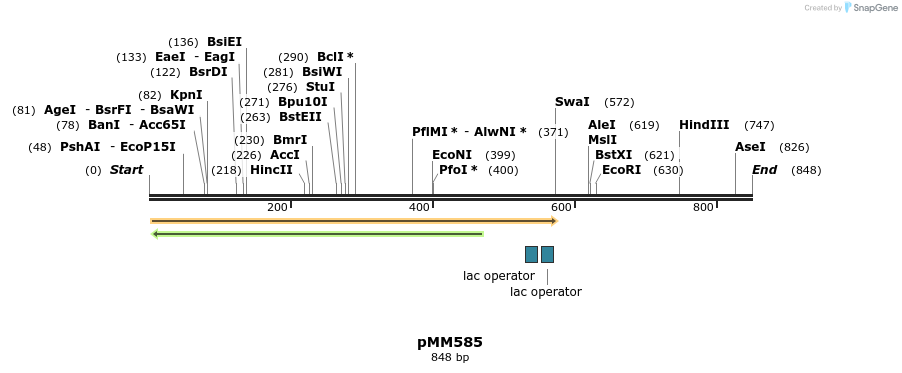 126211_map