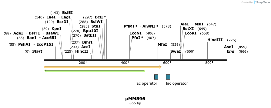 126212_map