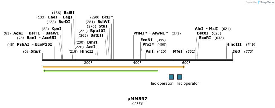 126213_map