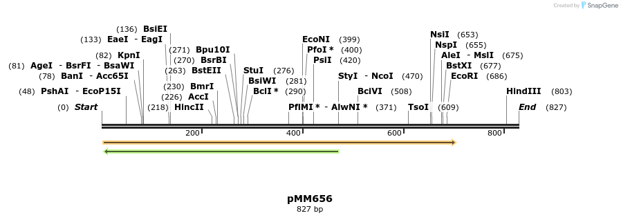 126215_map