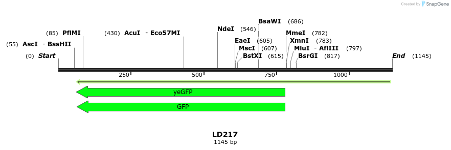 126218_map