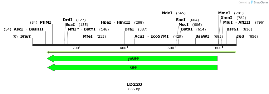 126219_map