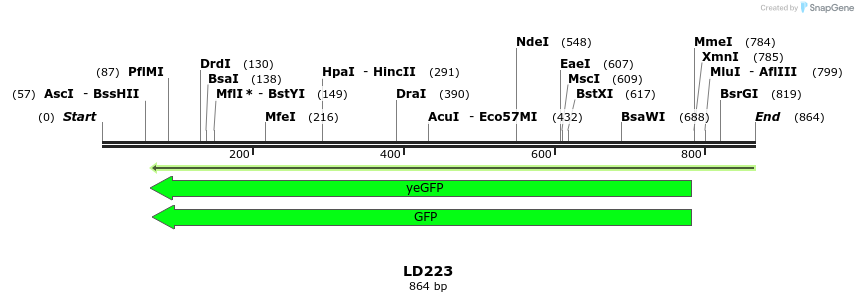 126220_map