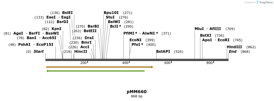 126221_map