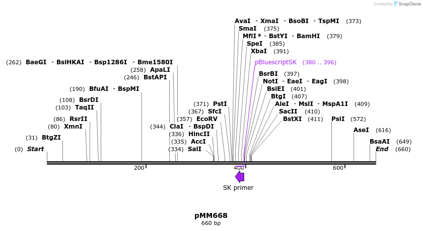 126225_map
