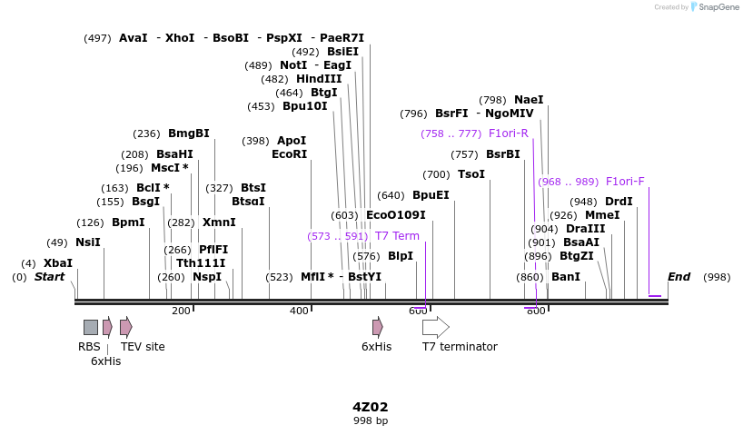 126228_map