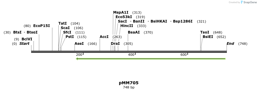 126234_map