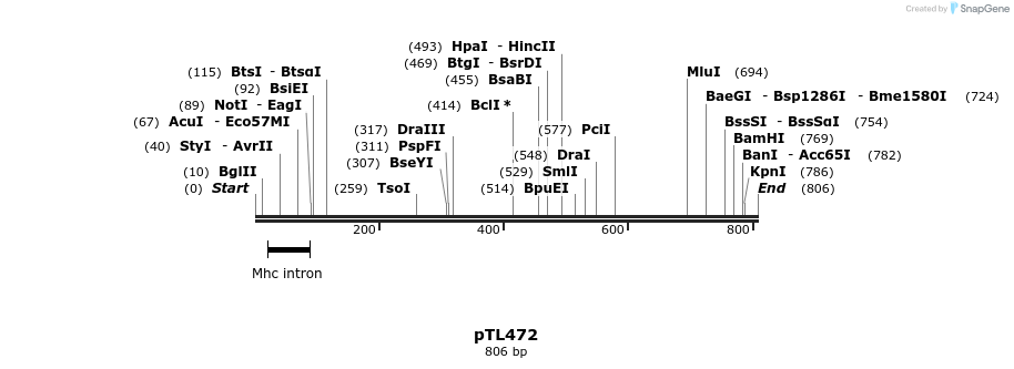 126238_map