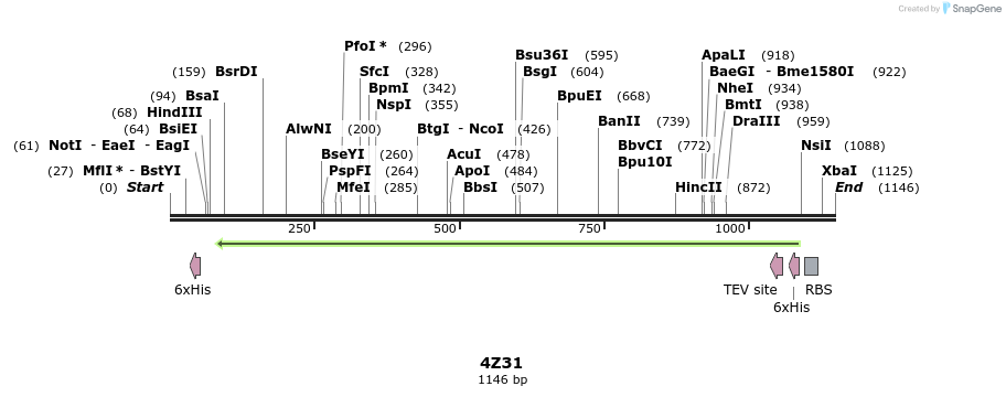 126239_map