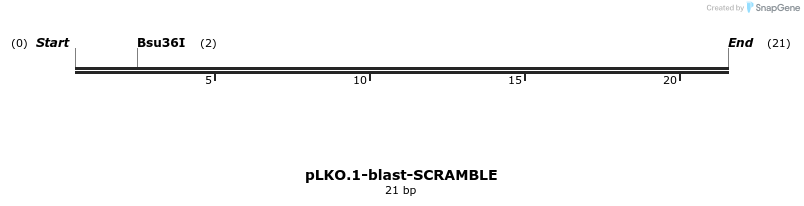 12624_map