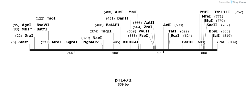 126242_map