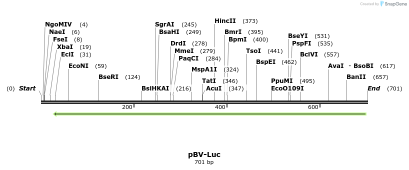 126244_map
