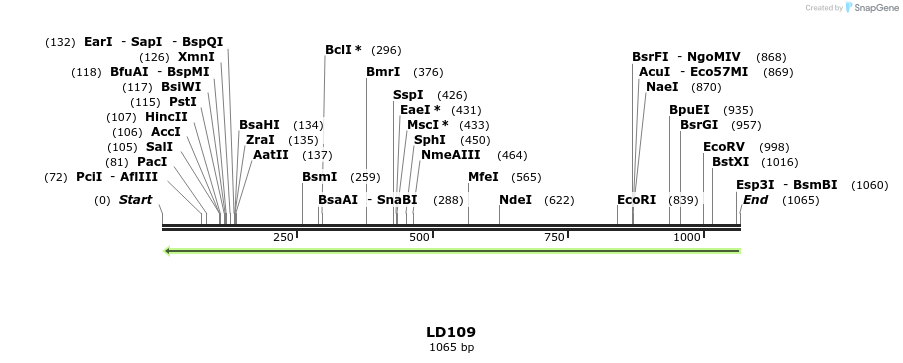 126246_map