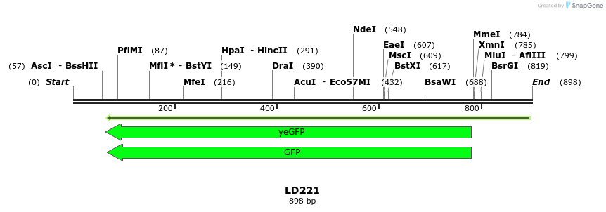 126247_map