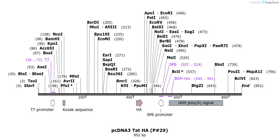 126249_map